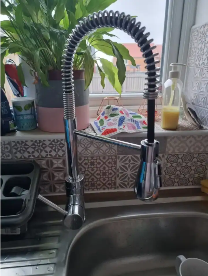 New Kitchen Tap With Shower Rinse Head Fitted Wl01